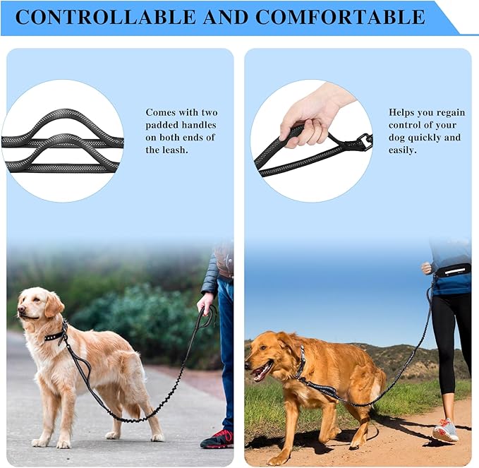 Tails & Tales Hands Free Dog Leash with Lightweight Waist Pouch for Walking Running Hiking, Adjustable Belt 25-45", Dual Padded Handles, Reflective Bungee Design for Small to Large 100lb Dogs (Black)