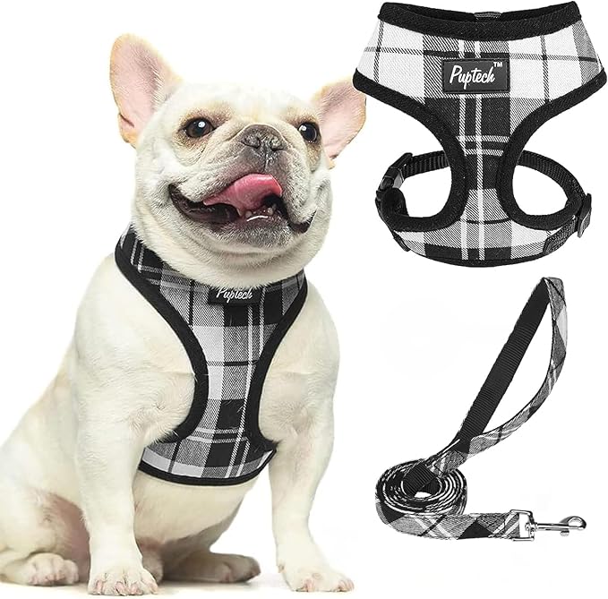PUPTECK Soft Mesh Dog Harness and Leash Set Pet Puppy Cat Comfort Padded Vest No Pull Harnesses, Black&White, M