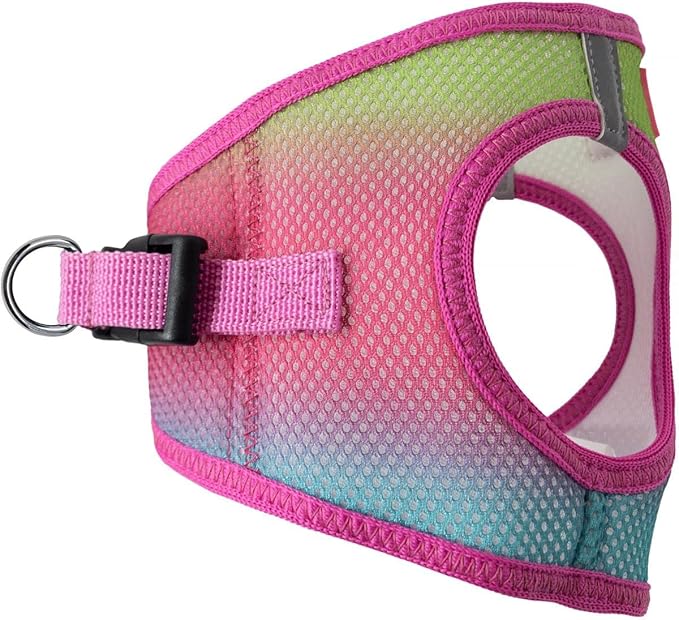 Doggie Design No Choke Dog Harness - Simple Step-in and Go Dog Vest for Small, Medium, and Large Breeds - Breathable Mesh Polyester Pet Harness - Cotton Candy - 2XL