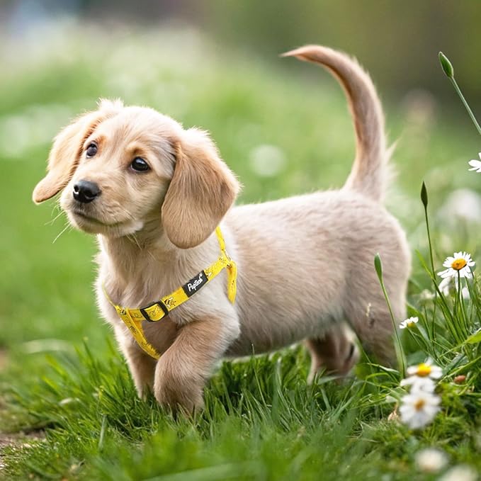 PUPTECK No Pull Dog Harness Soft Adjustable Basic Nylon Step in Puppy Vest Outdoor Walking with ID Tag, Yellow Bee, XS