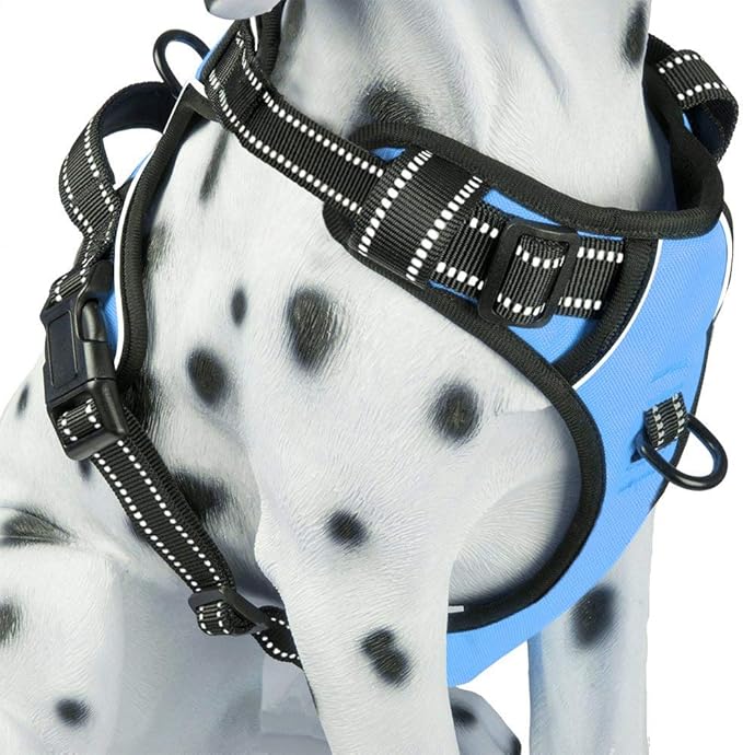 PoyPet No Pull Dog Harness, Reflective Comfortable Vest Harness with Front & Back 2 Leash Attachments and Easy Control Handle Adjustable Soft Padded Pet Vest for Small to Large Dogs (Light Blue,L)