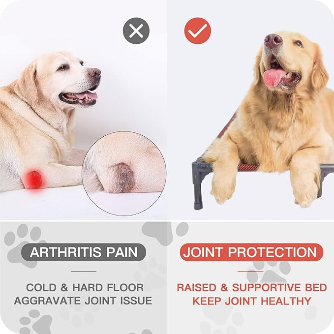 Suddus Elevated Dog Bed - Waterproof, Portable, Off The Floor, Easy Clean Indoor/Outdoor, Medium, Blue