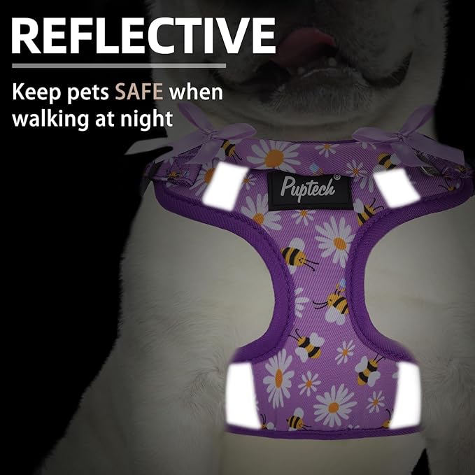 PUPTECK Dog Harness and Leash Set Small Sized, Step in No Pull Adjustable Puppy Cat Harness Reflective Pet Vest