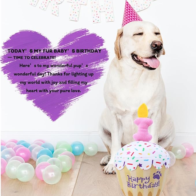 Dog Birthday Toy, Birthday Cake Plush Squeak Dog Toys for Puppy Gifts, Unique Bone Candle Design, Dogs Party Decor
