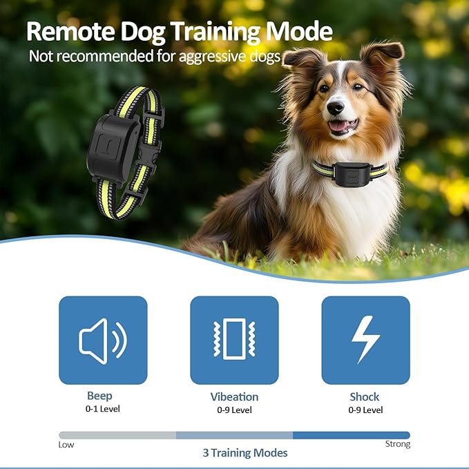 Wireless Dog Fence System with LCD Remote - Adjustable Training Collar & Portable Containment for 10-120lb Dogs, No Wire Needed, 1-Mile Boundary, Waterproof