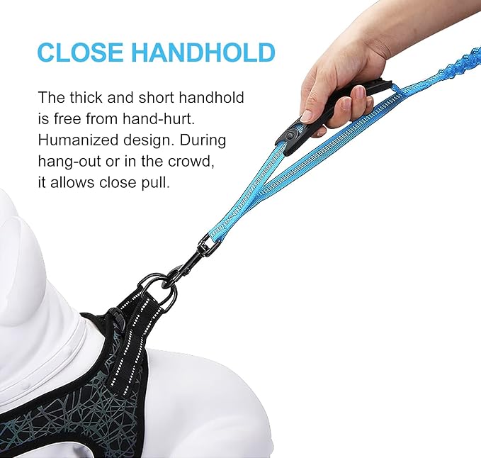 6FT Highly Reflective Heavy Duty Elastic Bungee Medium and Large Dog Leash Shock Absorbing with Comfortable Padded Handle and Traffic Handle Suitable for Training Light Blue