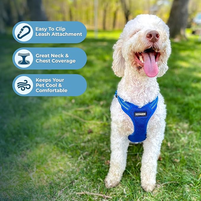 Best Pet Supplies Voyager Mesh Dog Breathable Harness Reflective Stitching, All Weather Adjustable for Walking Training, or Running - Heavy Duty & Durable, Harness Leash Set (Royal Blue), M