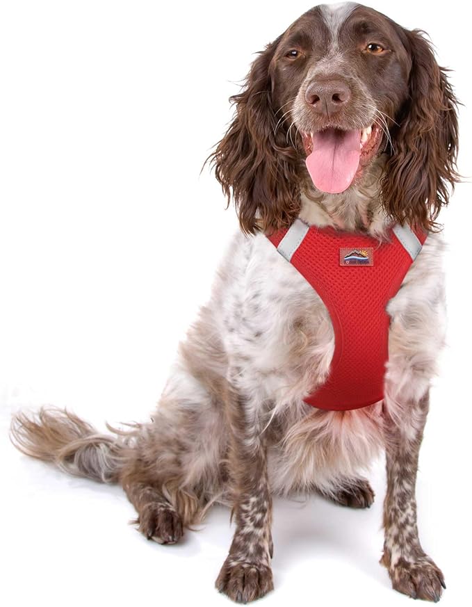 Doggie Design Dog Harness - No Choke Dog Harness, Dog Vest, Mesh Polyester, Pet Harness, Simple Step in and Go Design, Harness for Dog - Red, 2X-Large