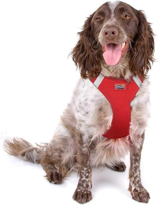 Doggie Design Dog Harness - No Choke Dog Harness, Dog Vest, Mesh Polyester, Pet Harness, Simple Step in and Go Design, Harness for Dog - Red, 2X-Large
