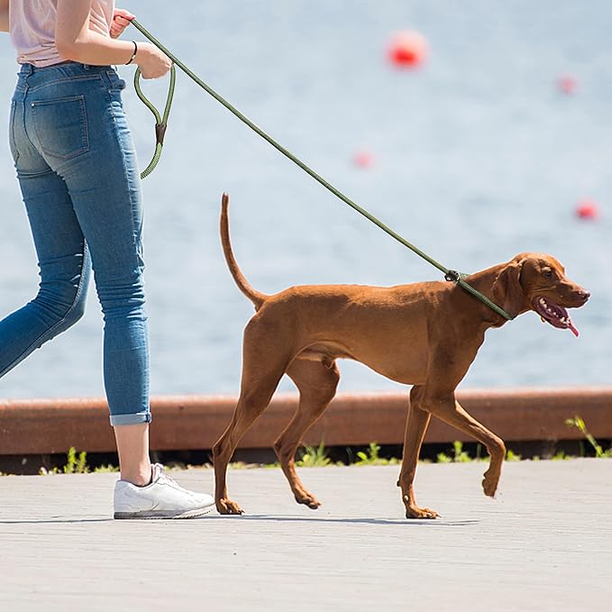 TwoEar Dog Slip Rope Leash - 6FT Heavy Duty Training Leash with Reflective Threads for Small to Large Dogs (Slim, 3/8''x6ft, Green)