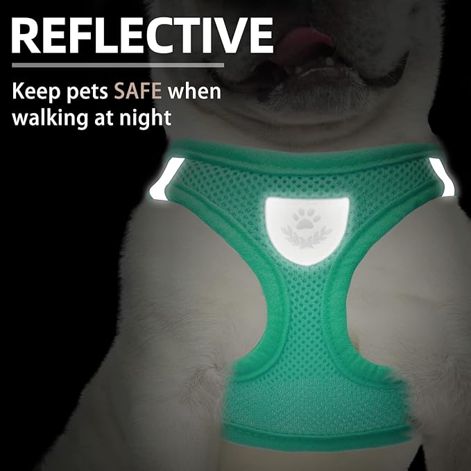 PUPTECK Adjustable Dog Harness Collar and Leash Set Step in No Pull Pet Harness for Small Medium Dogs Puppy and Cats Outdoor Walking Running, Soft Mesh Padded Reflective Vest Harnesses, Solid Green S