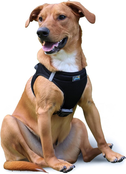 Doggie Design Dog Harness - No Choke Dog Harness, Dog Vest, Mesh Polyester, Pet Harness, Simple Step in and Go Design, Harness for Dog - Black, 2XL