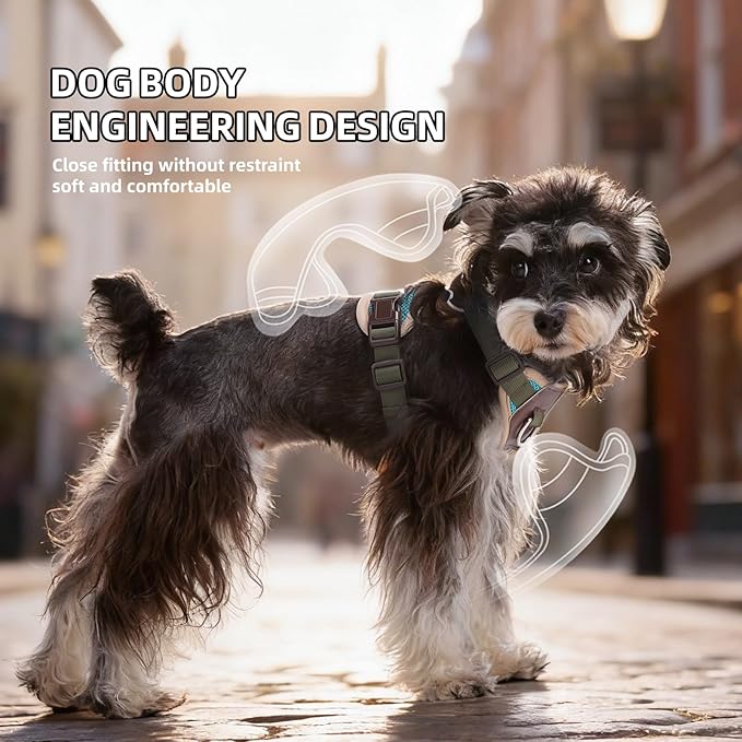 Small Dog Harness and Leash Set, Breathable Mesh Puppy Harness, Adjustable Dog Harness for Small Medium Large Dogs, No-Pull Pet Harness for Daily Walking (Lakeblue, Large)