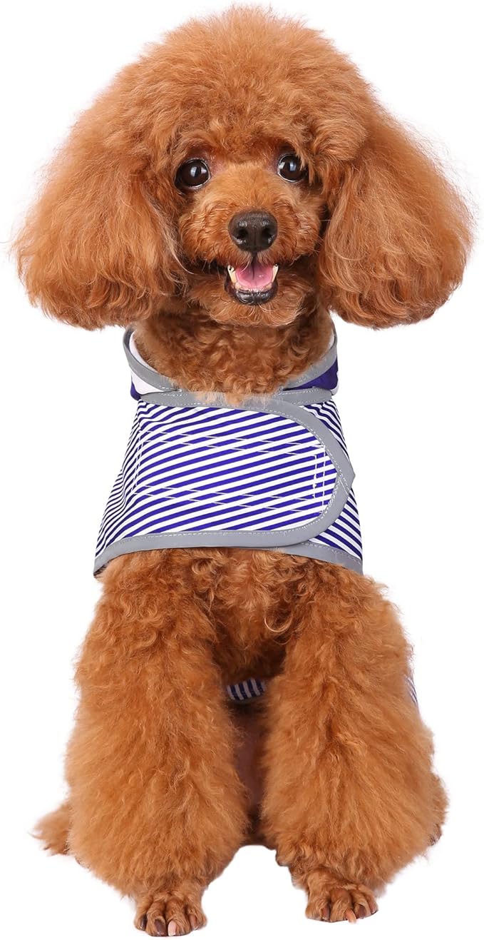 Dog Raincoats for Small Dogs Puppies Waterproof Hooded Rain Jacket with Reflective Strips Leash Hole & Poncho Adjustable Fit (Bluestripe,S)