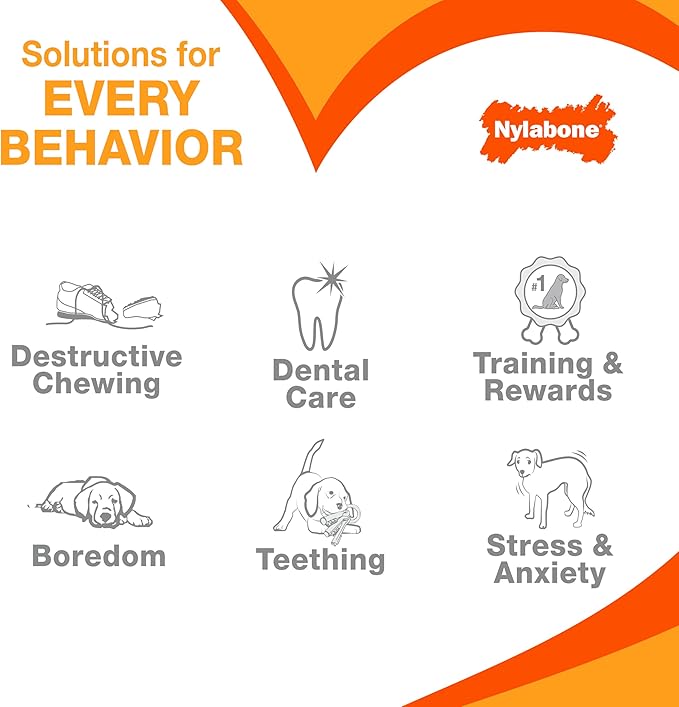 Nylabone Cheese Bone Power Chew Toy for Dogs, Cute Dog Toys for Aggressive Chewers, Cheese Flavor, X-Large Dogs - 50+ lbs, 1 Count