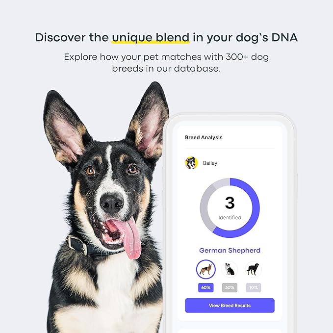 Basepaws Dog DNA Testing Kit - 330+ Breeds, 280+ Health Risks, and 30+ Traits - Comprehensive Mixed Breed Identification, Pet DNA Test kit, Canine Genetic Ancestry and Heritage