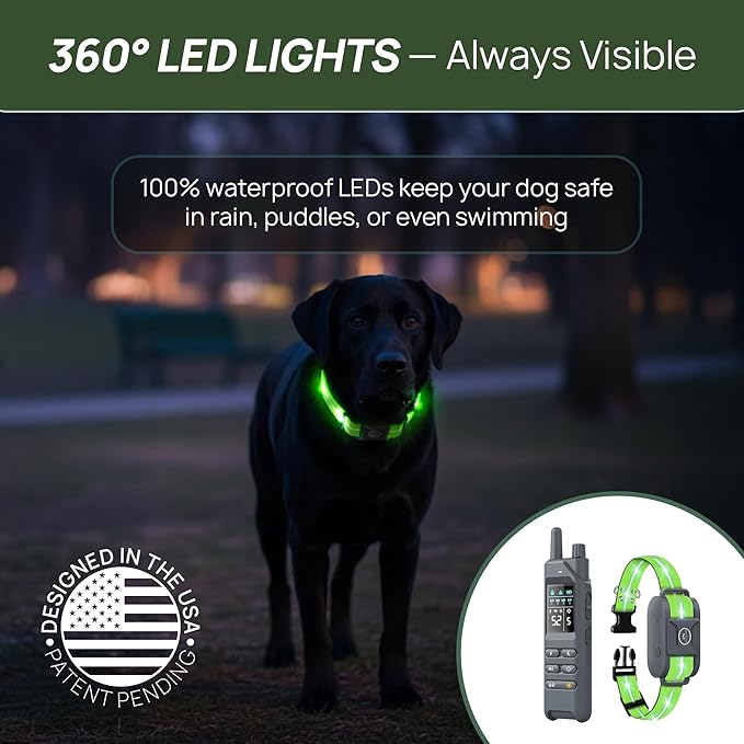 2-in-1 Dog Shock Collar with Remote & 360° LED Safety Lights – 4200FT Range Dog Training Collar, IPX8 Waterproof, 4 Training Modes, Rechargeable E-Collar for Small Medium & Large Dogs (10-120lbs)