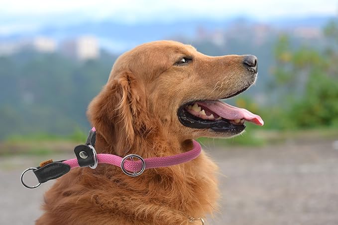 Braided Round Martingale Dog Collar, Training Collar with Slidable Stop Ring and Adjustable Stopper - Ideal for Large Dogs (L(1/2") - 20" Long, Pink)