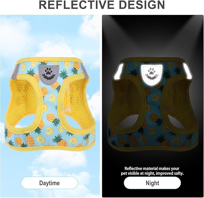 EXPAWLORER Small Dog Harness and Leash Set - Cute Puppy Harness Leash Dog Collar with AirTag Holder Silicone Case, Soft Padded Step in Pet Vest Reflective for Outdoor Walking, Pineapple M