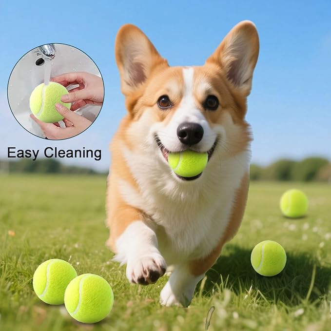 10 Pack 2-Inch Small Tennis Balls for Dogs, Interactive Fetch Toys for Indoor & Outdoor Play, Chew-Resistant Pet Training Balls(Not Compatible with The New Ball-Throwing Machine)