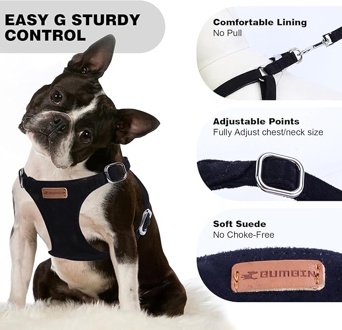 Dog Harness and Leash Set, XXS No Pull Adjustable Puppy Harness with Multifunction Pink Dog Leash and Dog Collar, Soft No Choke Escape Proof Pet Harness Vest for Small Dogs and Cats (Black, S)