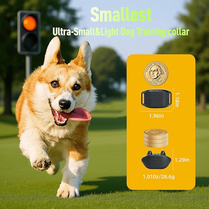 Dog Shock Collar 2 Dogs (5-15Lbs)，1900 ft Waterproof Training Collar for Dogs Medium Small with Rechargeable Remote，Beep (1-3) Vibration (0-9) and Humane Shock (0-9) Modes