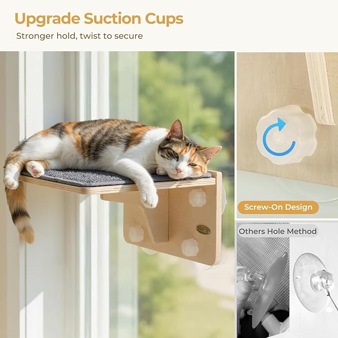 Pecute 2-in-1 Cat Window Perch & Wall Shelves - Sturdy Solid Wood Frame, 4 Large Rotating Suction Cups, Washable Carpet Cloth Cover, Space-Saving Indoor Cat Hammock Bed for Kittens Inside, 12"x10"