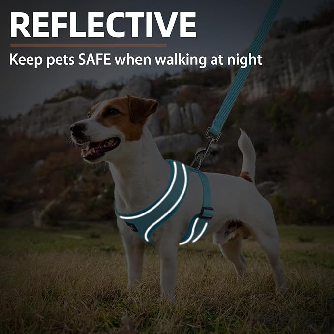 PUPTECK Soft Mesh Dog Harness and Leash Set Pet Puppy Cat Comfort Padded Vest No Pull Harnesses, Solid LightBlue, M