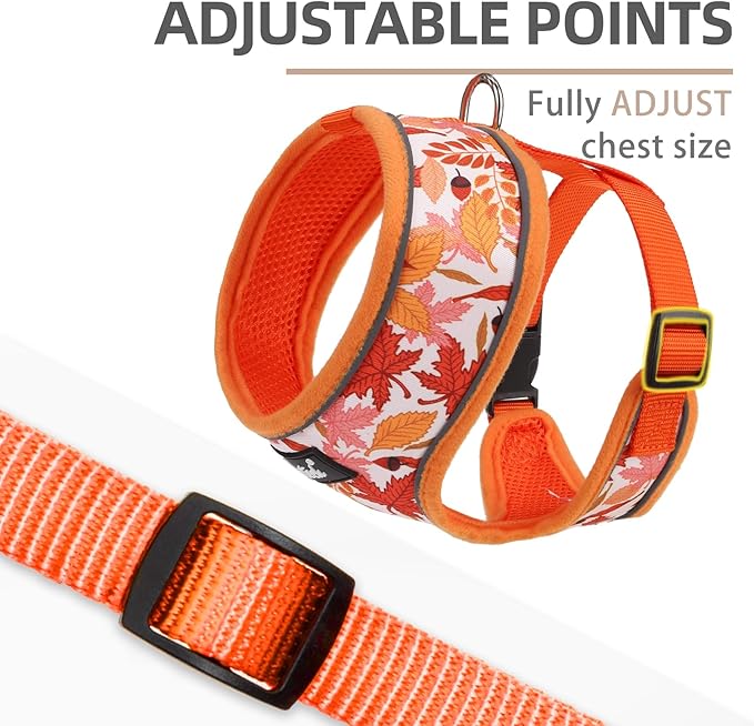 PUPTECK Soft Mesh Dog Harness and Leash Set Pet Puppy Cat Comfort Padded Vest No Pull Harnesses, Orange Leaf, S