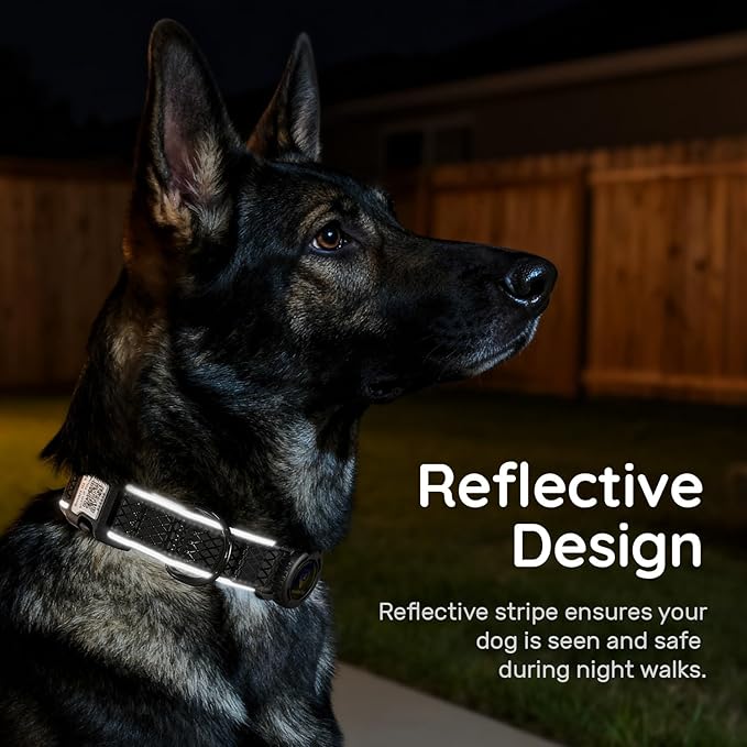 AirTag Dog Collar with QR Code ID & Waterproof Holder - Reflective, Durable Padded Oxford Collar Compatible with Apple AirTags for Medium Dogs (Black, M)