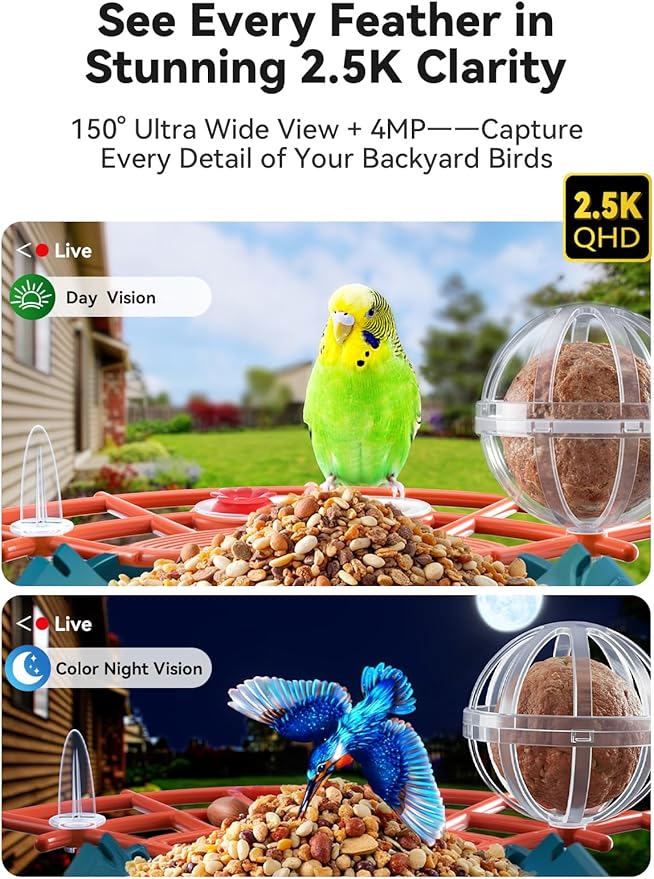 outinput 2.5K Smart Bird Feeder with Camera Solar Powered, AI Bird Species Identification, Squirrel Proof, Real-Time Video Notifications, Weatherproof, Ideal Gift for Family and BirdLovers, Navy Blue