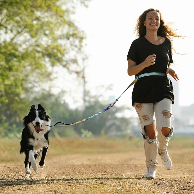 Roses&Poetry Hands Free Dog Leash for Medium Large Dogs Heavy Duty, No Pull Bungee Dog Running Waist Leash for Walking Training with Car Seatbelt 4-6FT