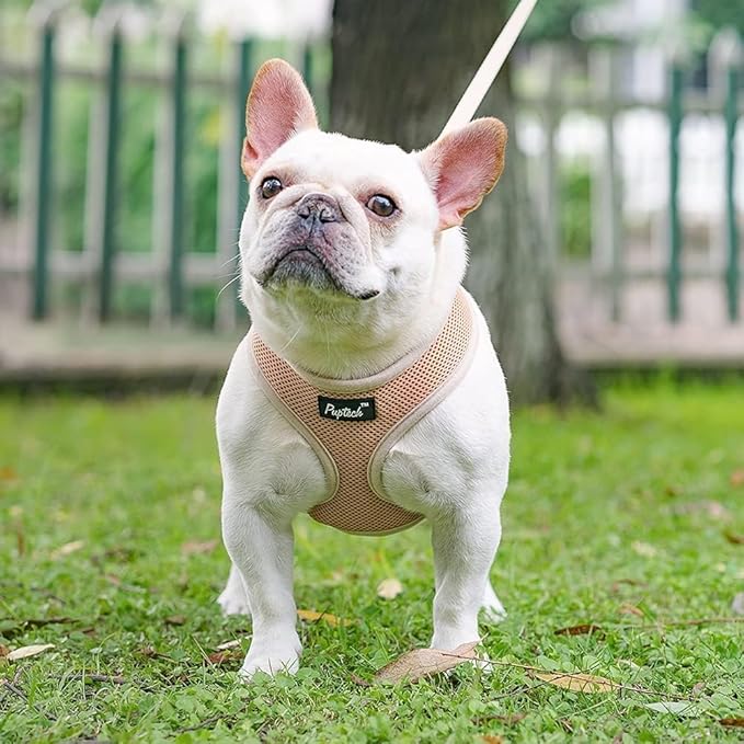 PUPTECK Soft Mesh Dog Harness and Leash Set Pet Puppy Cat Comfort Padded Vest No Pull Harnesses, Solid Beige, L