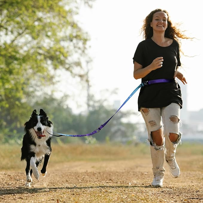 Roses&Poetry Hands Free Dog Leash for Medium Large Dogs Heavy Duty, No Pull Bungee Dog Running Waist Leash for Walking Training with Car Seatbelt 4-6FT