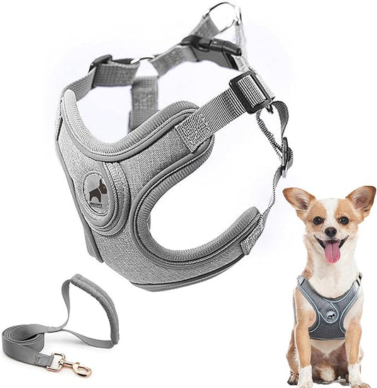 Dog Harness with Leash Set, Puppy Harnesses with Breathable Padded for Small Dogs Training and Running(XS, Gray)