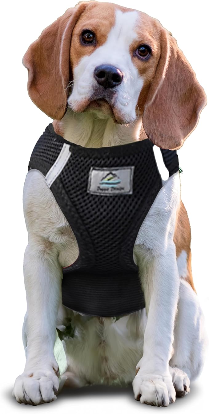Doggie Design Dog Harness - No Choke Dog Harness, Dog Vest, Mesh Polyester, Pet Harness, Simple Step in and Go Design, Harness for Dog - Black, X-Large