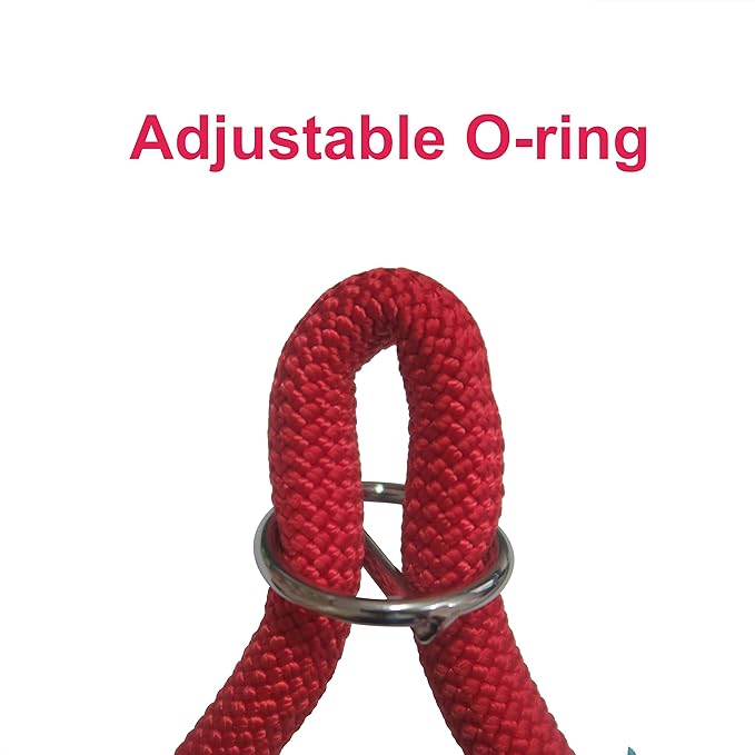 Braided Round Martingale Dog Collar, Training Collar with Slidable Stop Ring - Ideal for Small Medium Dogs (M- (1/3") - 18" Long, Red)
