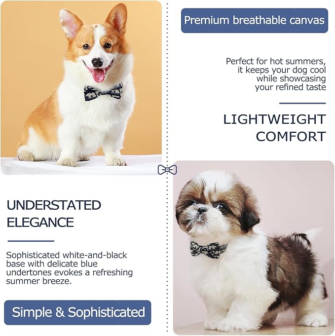 Bowtie Collars for Medium Dogs, Elegant Dog Bow Tie Collars, Dog Collars with Bowtie Adjustable 13.8"-17.7", Black, M