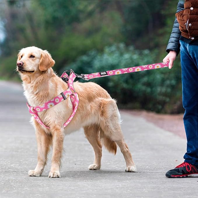 QQPETS Dog Harness Leash Set Adjustable Heavy Duty No Pull Halter Harnesses for Small Medium Large Breed Dogs Back Clip Anti-Twist Perfect for Walking (L(23"-32" Chest Girth), Daisy)
