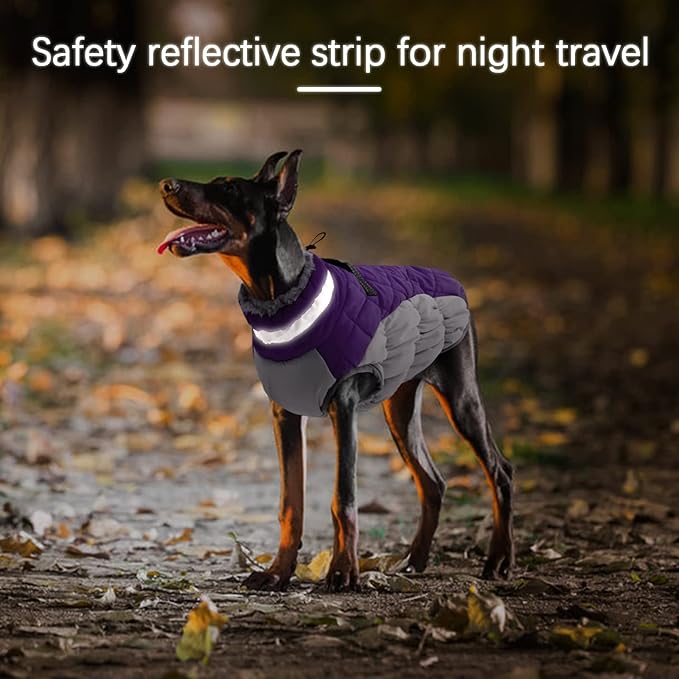 Small Dog Coat,Dog Jackets for Small Dogs,Warm Winter Jacket, Puppy Coat with Harness Built in,Waterproof Dogs Jacket,Puppy Cold Weather Coats,Pet Winter Clothes Snowsuit Shih Tzu Bichon,Purple