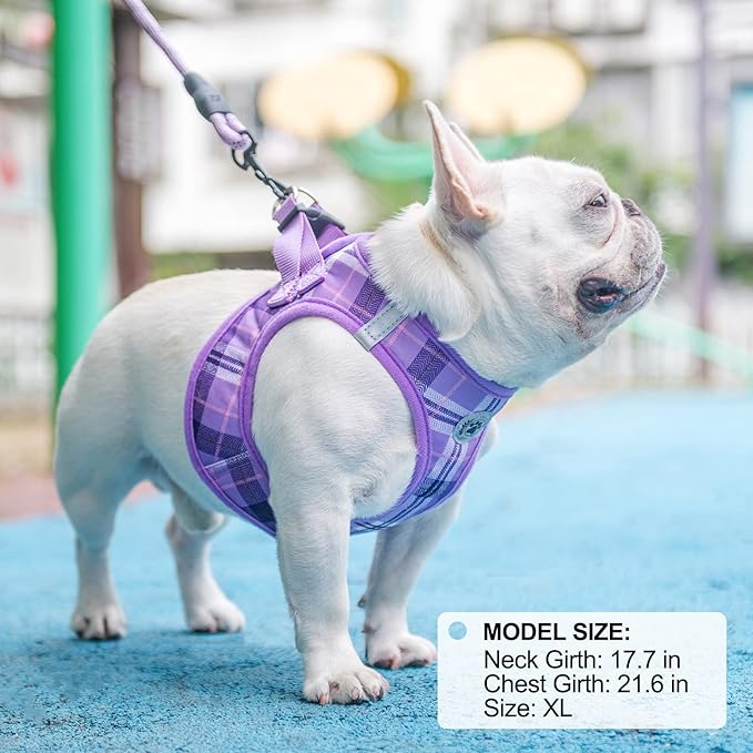 BEAUTYZOO Small Dog Harness and Leash Set, Step in No Choke No Pull Soft Mesh Dog Harnesses Reflective for Extra-Small/Small Medium Puppy Dogs and Cats, Plaid Dog Vest Harness for XS S Pets, Purple M
