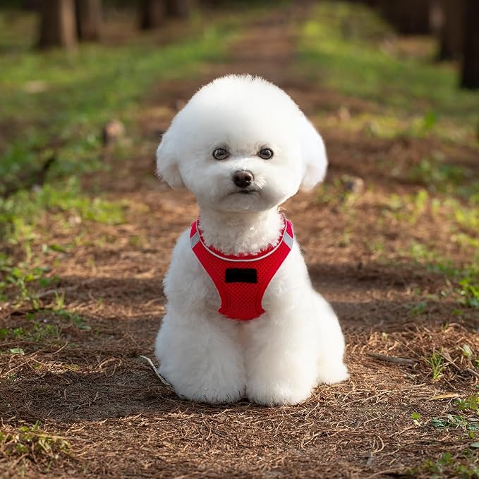 Dog Harness and Leash Set, No Pull Mesh Puppy Harness for Small Medium Sized Dogs, Pet Vest for Walking Running Training, Double D-Rings Reflective Strip