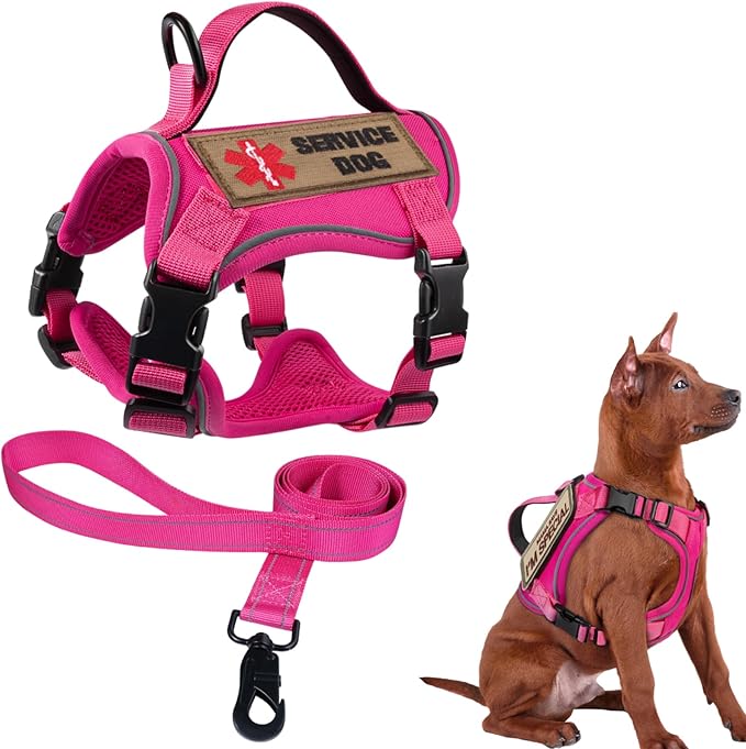 Tactical Dog Harness for Small Dogs, Military Puppy Vest Harness and Leash for Outdoor Training, Adjustable Service Dog Vest with Handle，3 Patches