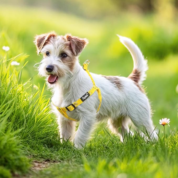 PUPTECK No Pull Dog Harness Soft Adjustable Basic Nylon Step in Puppy Vest Outdoor Walking with ID Tag, Yellow Bee, XS