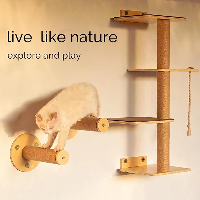 Cat Window Perch and Cat Wall Shelves 2 in 1 Cat Scratching Activity Tree Wall Mounted, Cat Scratch Post for Cats, Kittens with Cat Bed