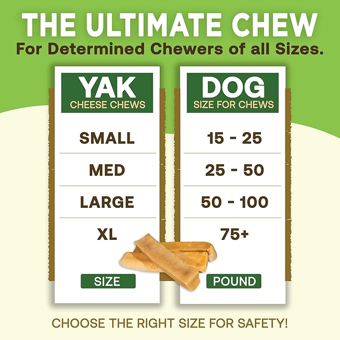 EcoKind Premium Gold Yak Cheese Himalayan Dog Chews, Healthy Dog Treats for Medium Dogs, All Natural, Long Lasting Dog Chew for Aggressive Chewers, High Protein Treat, Medium - 35+ Chews (5 lbs)