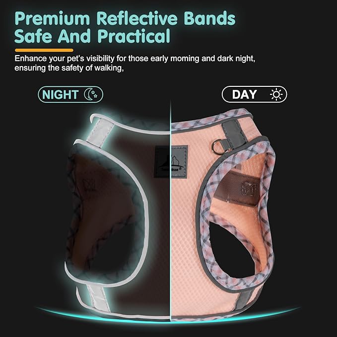 Dog Harness and Leash Set, No Pull Pet Harness for Small Dogs Easy Walking,Soft Breathable Small Dog Harness,Adjustable Reflective Step in Vest Harness for Puppy ,kitten, Cats