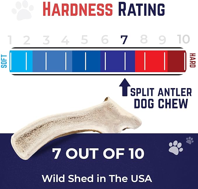 Devil Dog Pet Co. Split Elk Antlers for Dogs, Jumbo 8"+, 1 Pack, Grade A Long Lasting Chew for Aggressive Chewers, Premium USA Naturally Shed Antler – Healthy, No Odor, Durable Dog Chew