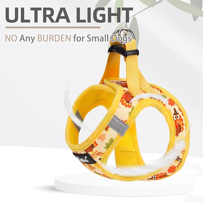 PUPTECK Dog Harness and Leash Set for Small Medium Dogs No Pull Step-in Soft Mesh Puppy Cat Vest Harnesses Reflective at Night Thanksgiving, Autumn, M