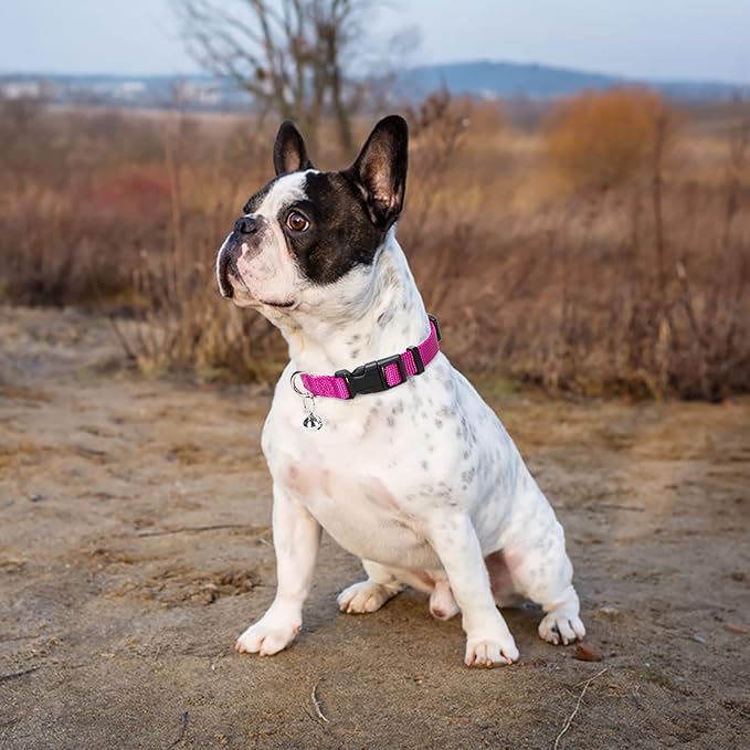 PUPTECK Adjustable Dog Harness Collar and Leash Set Step in No Pull Pet Harness for Small Medium Dogs Puppy and Cats Outdoor Walking Running, Soft Mesh Padded Reflective Vest Harnesses, Solid Pink S